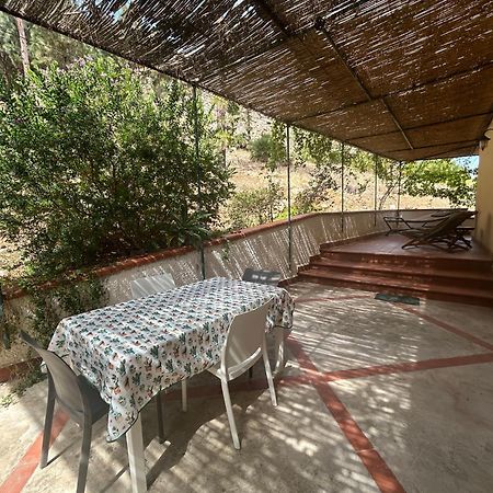 La Pineta Al Mare Apartment เอริเช ภายนอก รูปภาพ